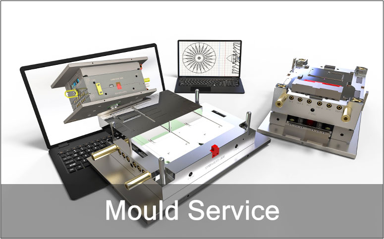 mould service